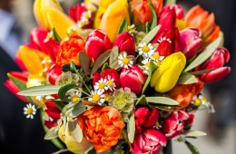 Matrimonio in primavera