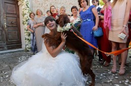 Butterfly wedding