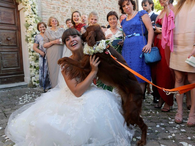 Butterfly wedding